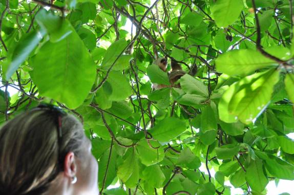 Observando de perto um bicho-preguiça no Parque Nacional de Manuel Antonio, no litoral do Oceano Pacífico, na Costa Rica